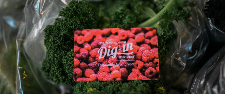Community, Confidence and Carrots: Dig-In’s 5th AGM